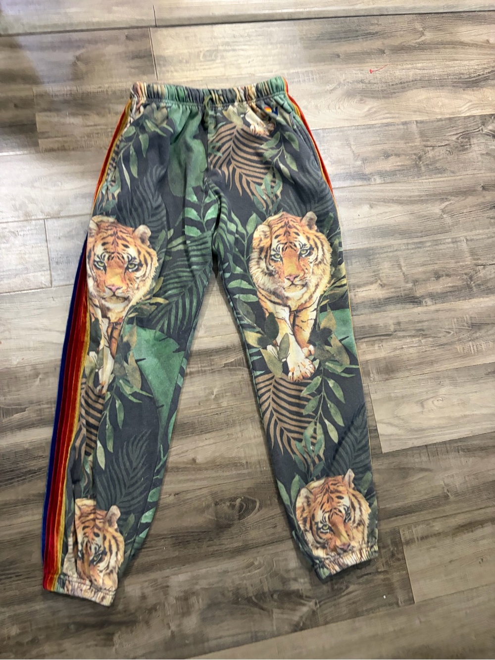 Aviator Nation Velvet Tiger Jungle Rainbow Stripe Jogger Sweatpants Super Rare - Picture 3 of 12
